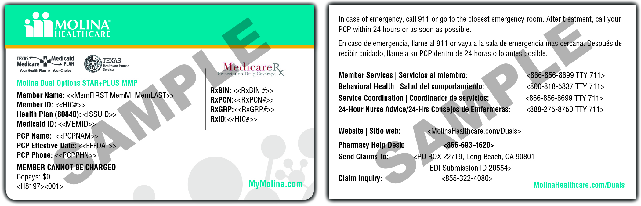 Member ID Dual Options Molina Healthcare Texas